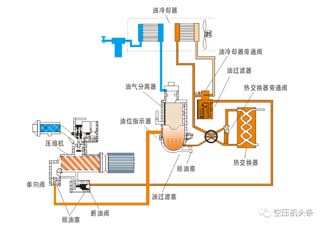 1692066447363545.jpg 1692066447363545.jpg