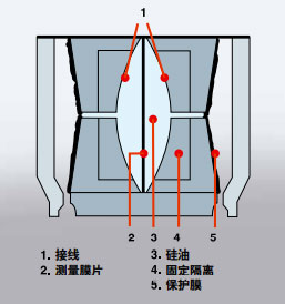 1694569617185913.jpg 022-1.jpg